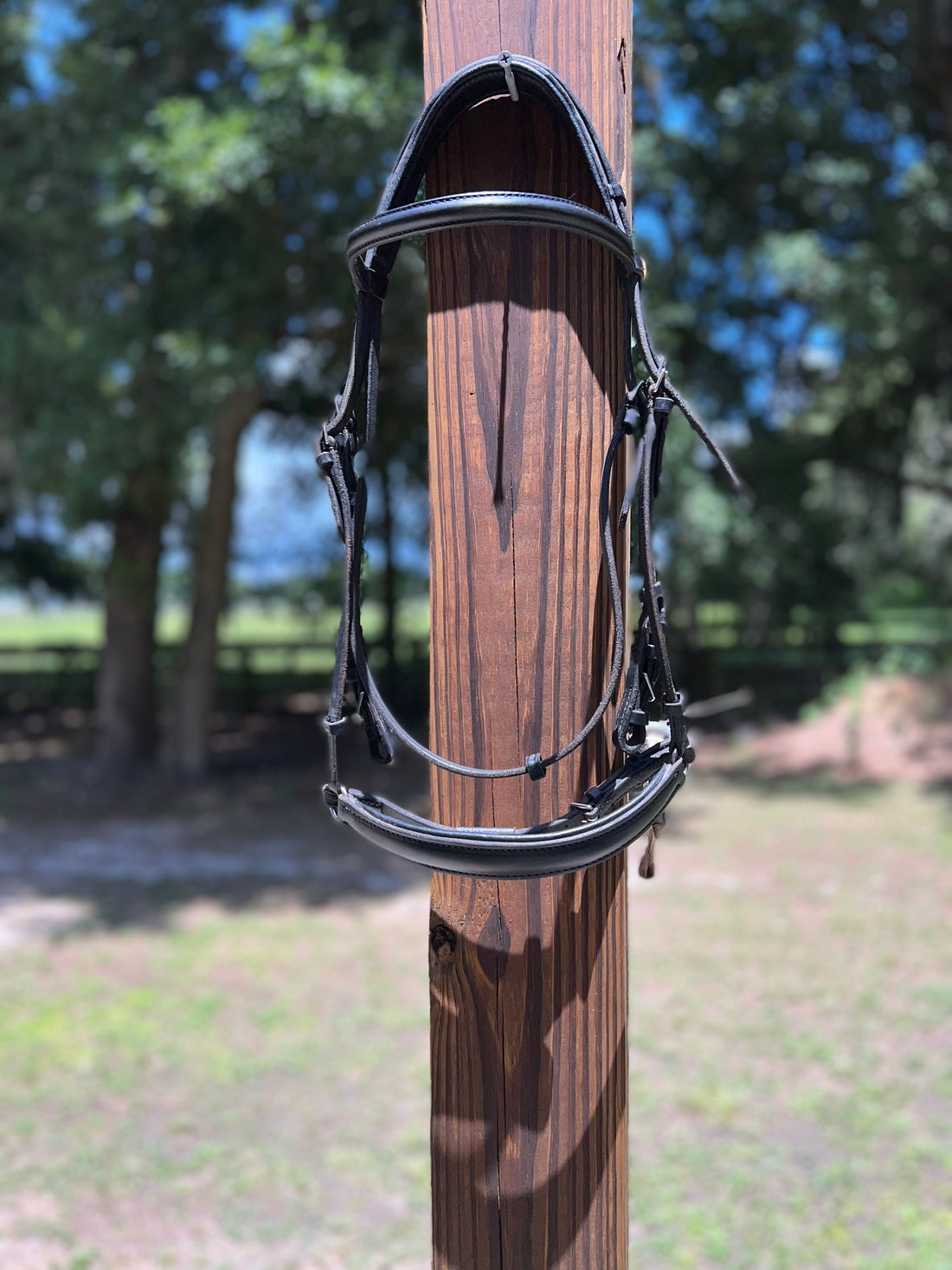 KB Consigned Drop Nose Bridle