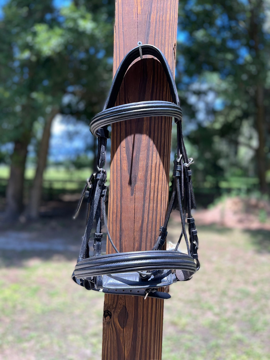 Vespucci Consigned Double Bridle, FS, Black