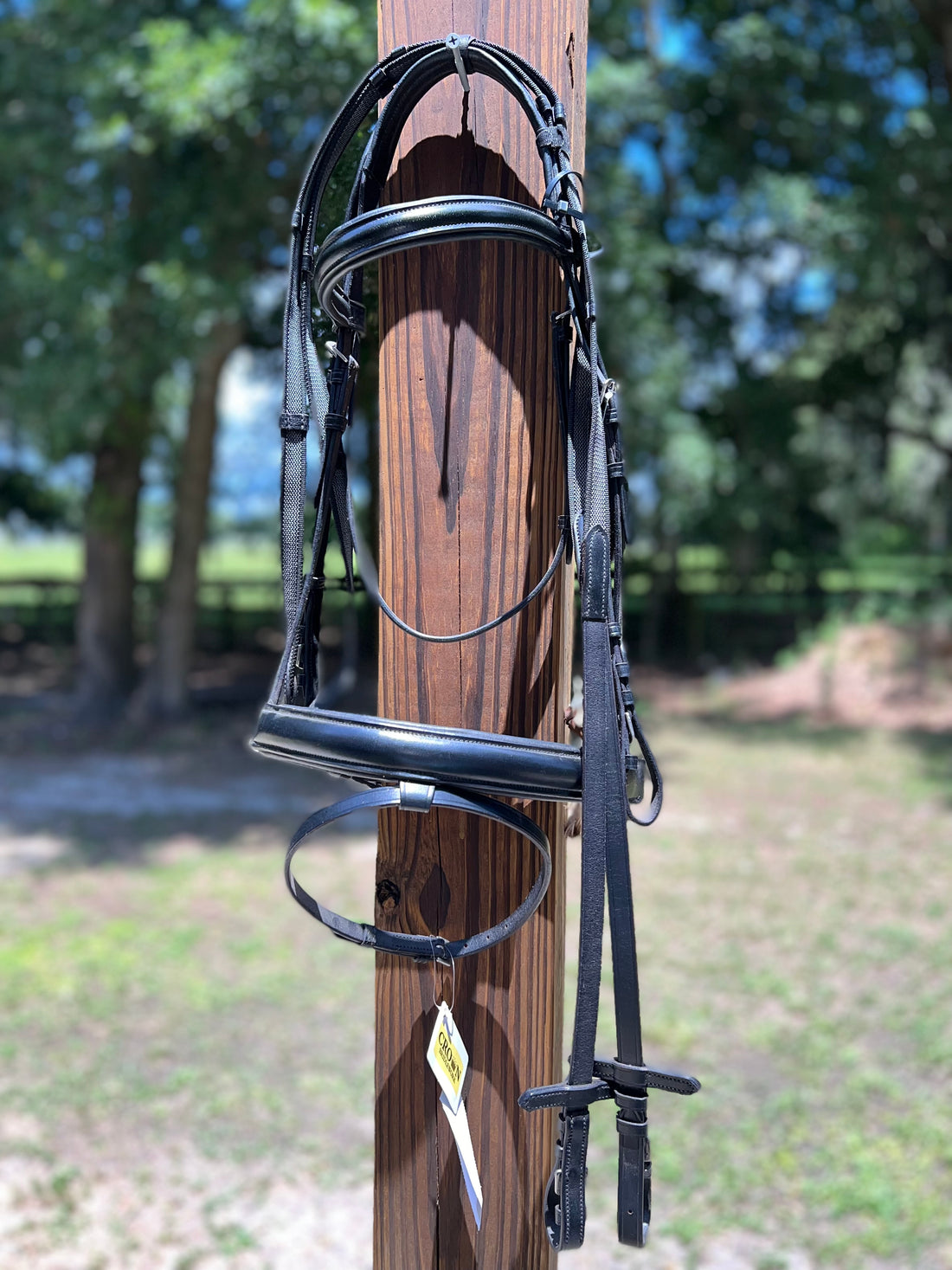 Crown Consigned Snaffle Bridle