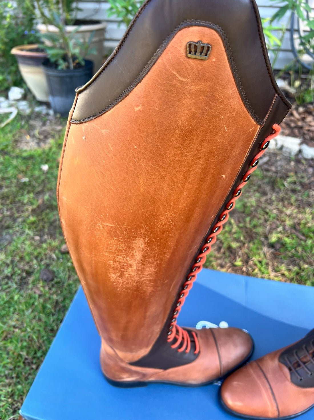 *USED* Kingsley Orlando - Gaucho Brown & Nature Brown, Orange Laces, 40.5, 50/43 #393438 - Used