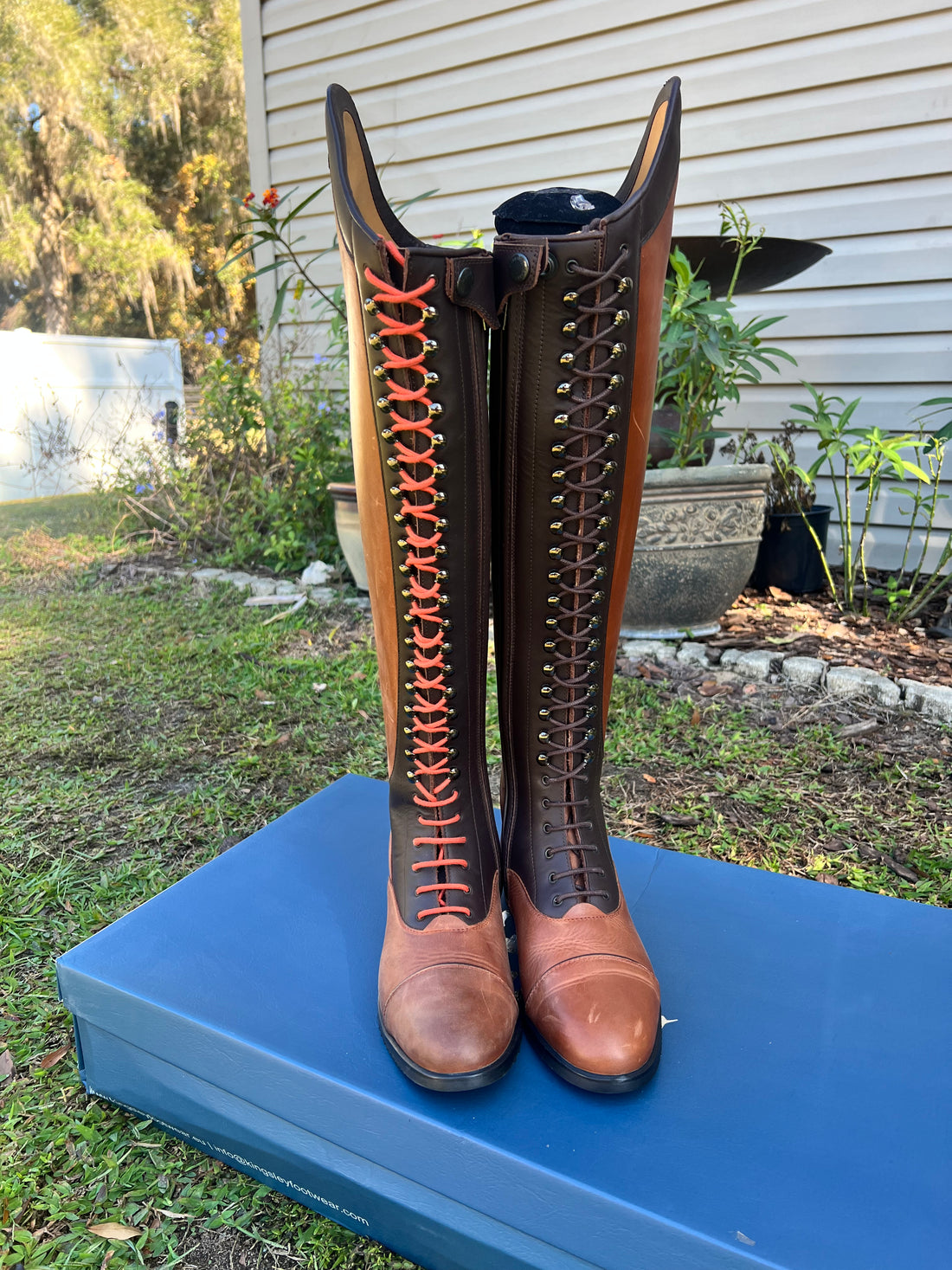 *USED* Kingsley Orlando - Gaucho Brown & Nature Brown, Orange Laces, 40.5, 50/43 #393438 - Used