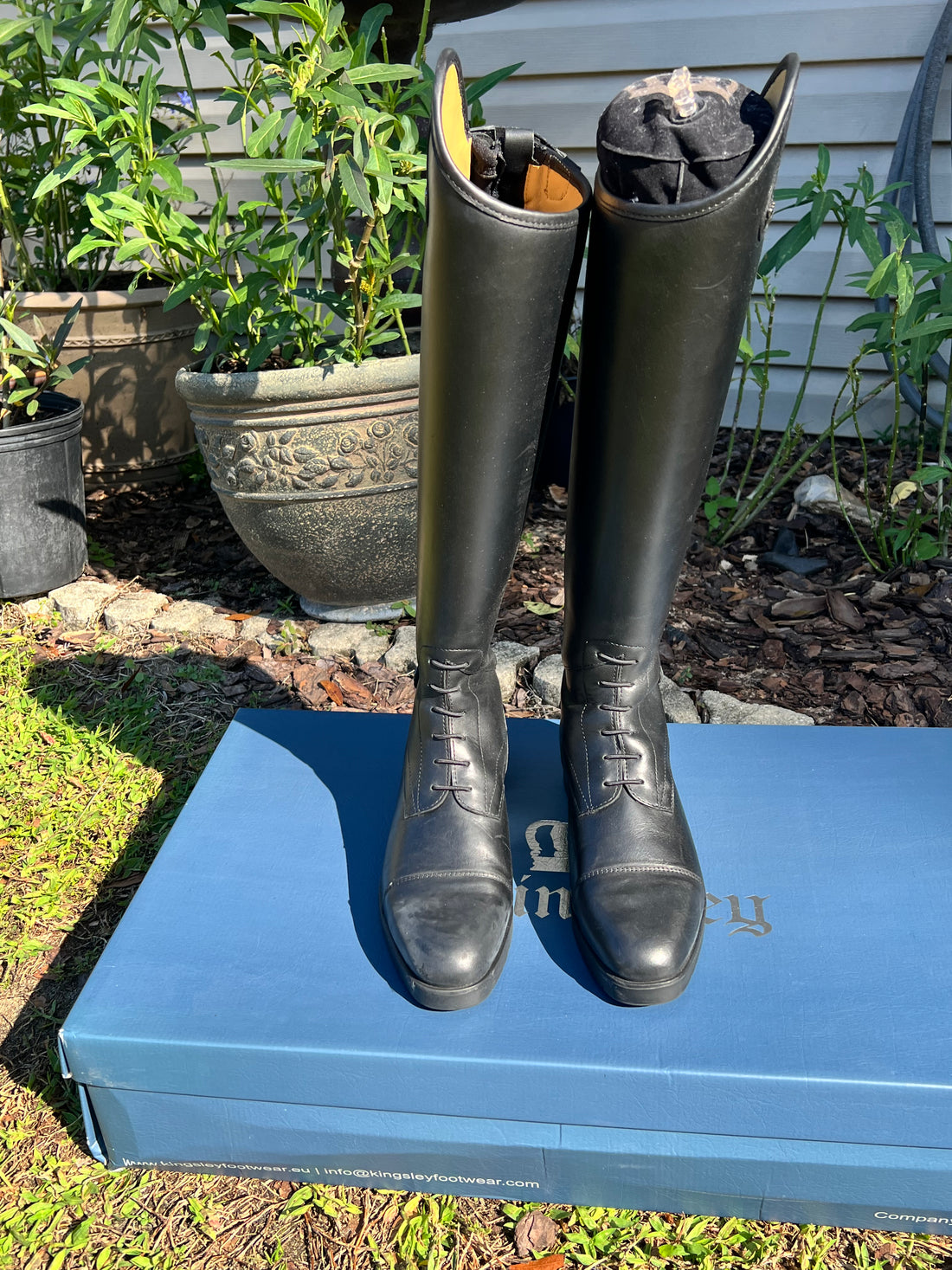 Kingsley Montreal Black Field, 39 M/CL