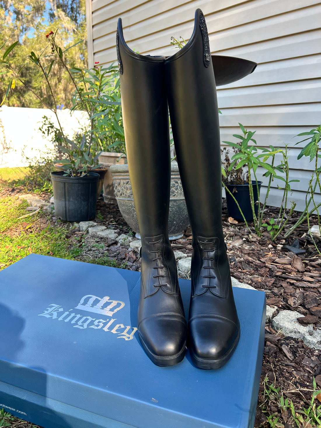 Kingsley Olbia 1 - Black Field 37, 41.5/38