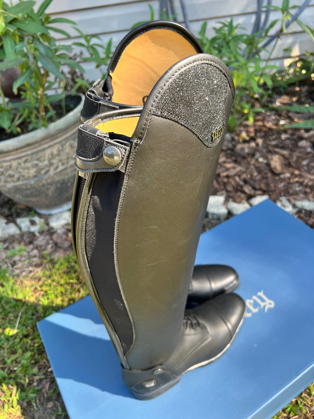 Kingsley Olbia 1 - Black Field 37, 41.5/38