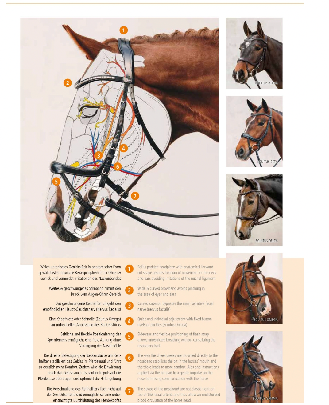 Schockemöhle Sports Equitus Beta Bridle, Black