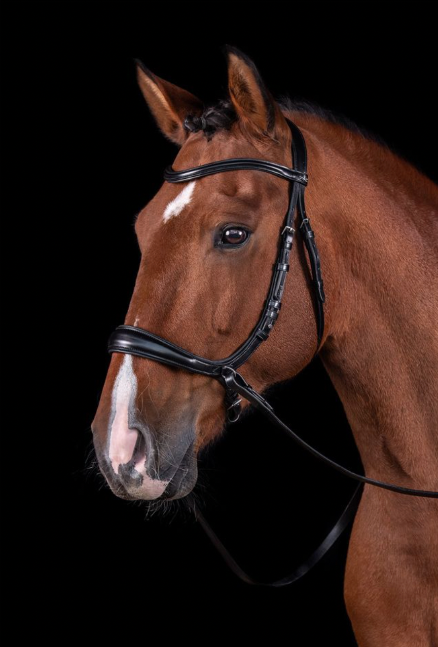 Schockemöhle Sports Equitus Theta Bitless Bridle