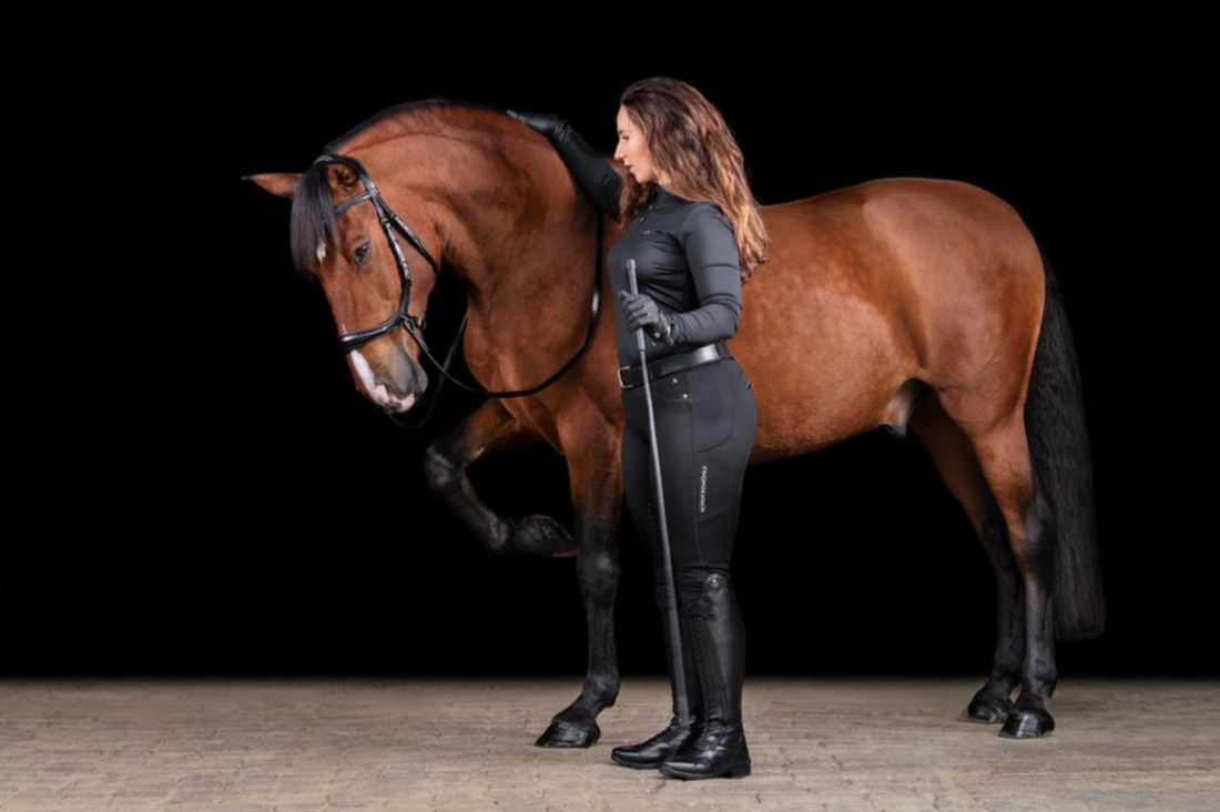Schockemöhle Sports Equitus Theta Bitless Bridle