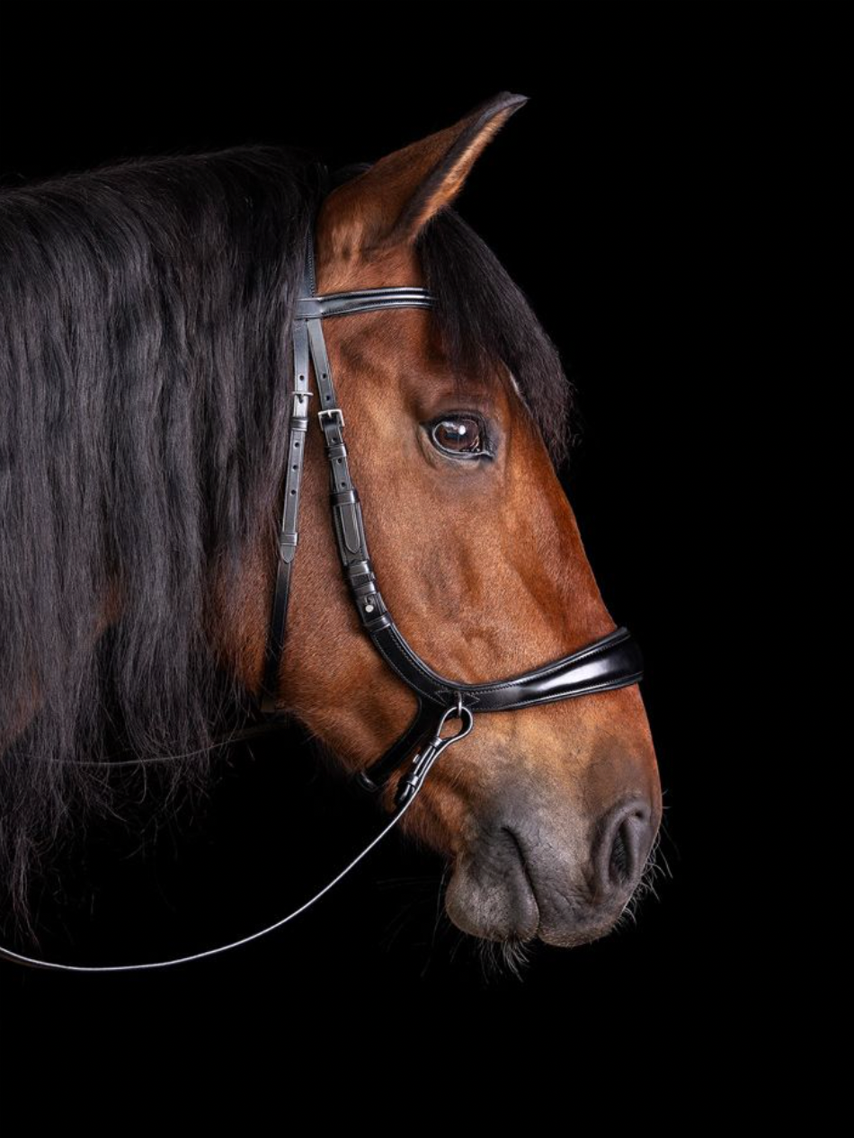 Schockemöhle Sports Equitus Theta Bitless Bridle