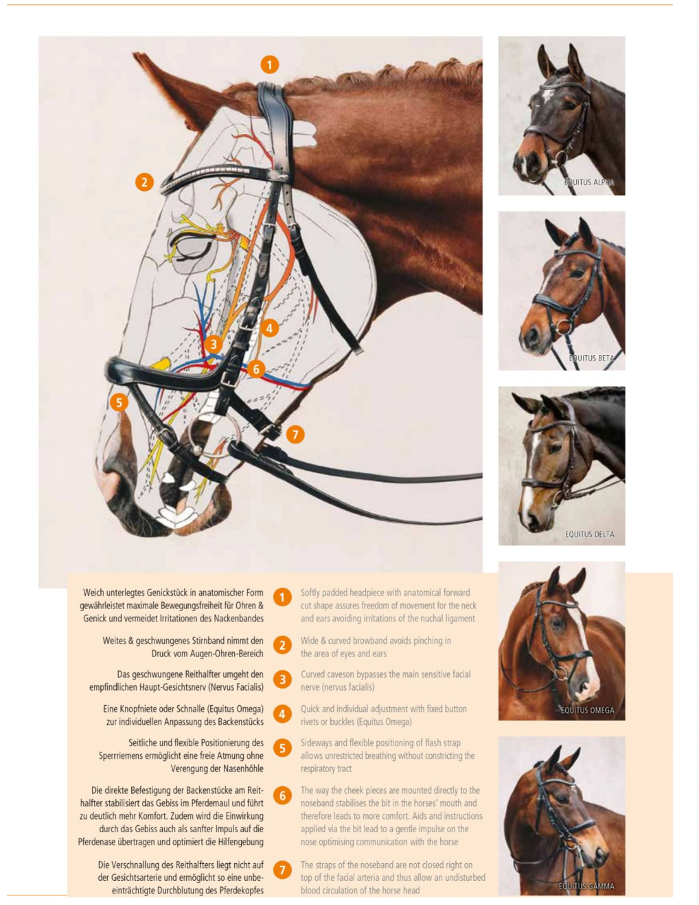 Schockemöhle Sports Equitus Theta Bitless Bridle