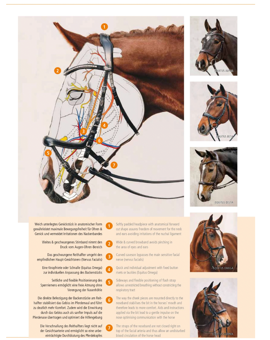 Schockemöhle Sports Equitus Beta Glam Bridle